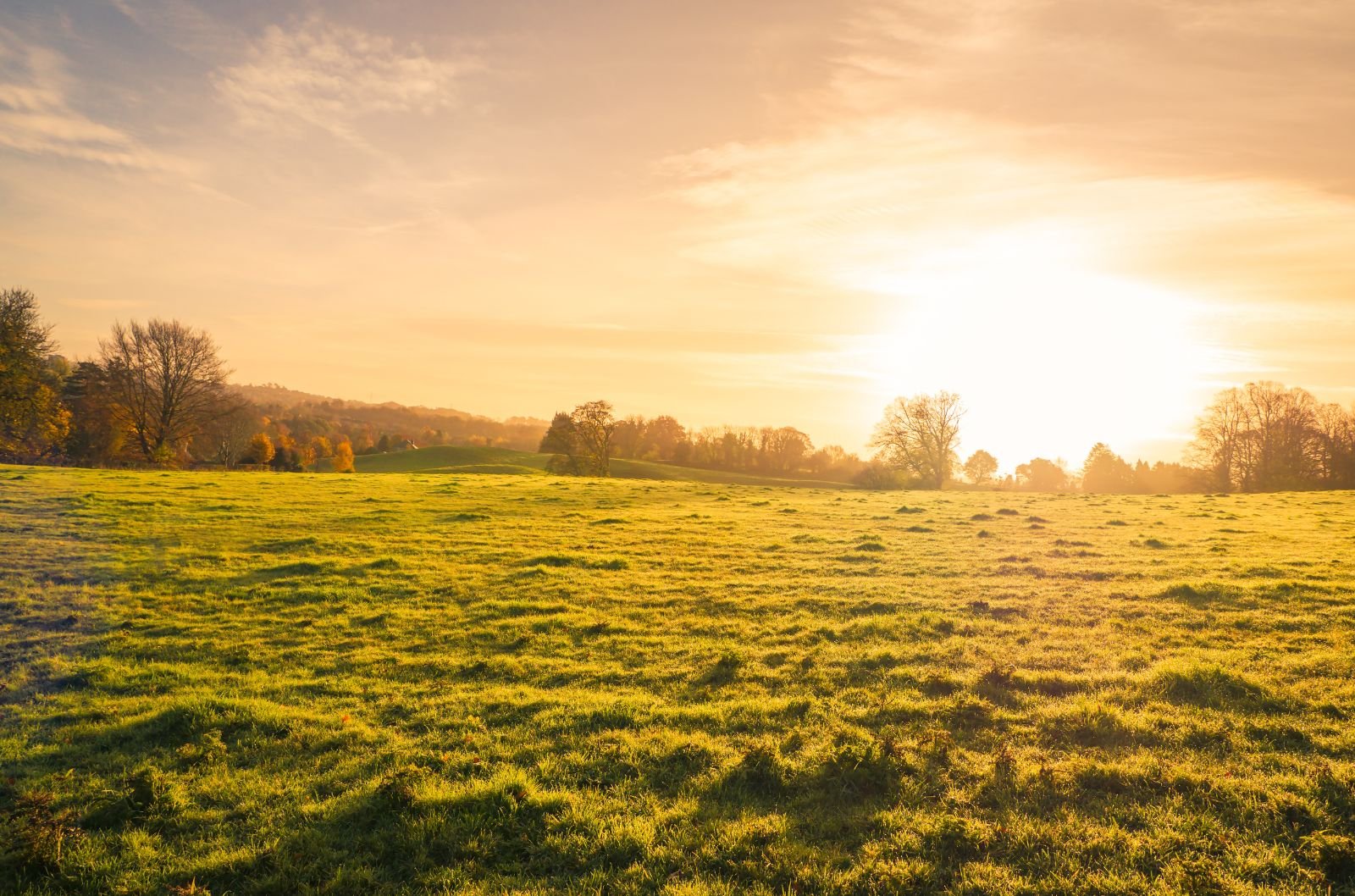 Untitled design - 2025-08-04T163534.790